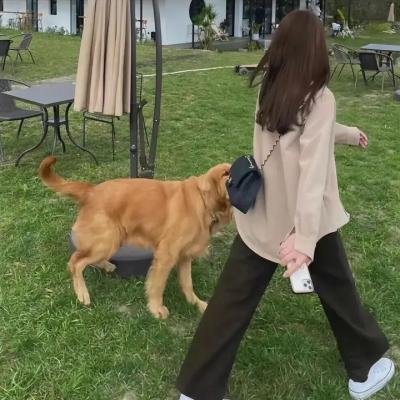 天使的战争